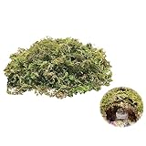 BNOSDM 27L Forest Moss for Hamster Bedding Nesting Natural Moss Small Animals Habitat Decor for Syrian Mice Degus Gerbils Hamsters Cages Accessories (1.8LBS)