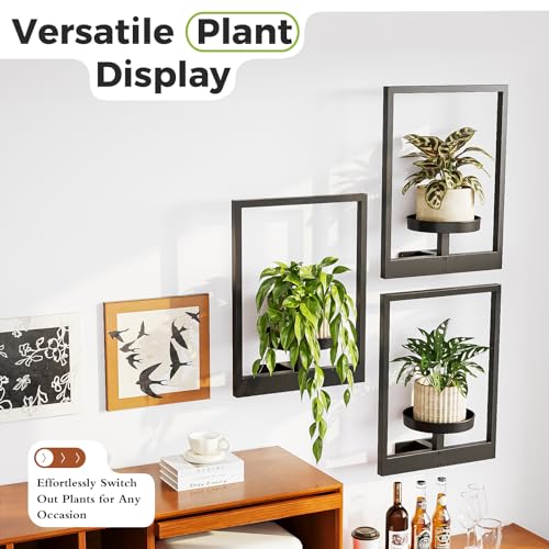 Bamworld Hanging Planters for Indoor Plants Wall Decor Living Room Plant Stand Indoor Wall Planters Plant Hanger Window Plant Shelves 3 Pack for Outdoor Entryway - Thumbnail 5