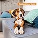 Washable Pee Pads for Dogs, 24x36 Reusable Absorbent Whelping Pads with Non-Slip Waterproof Bone Print