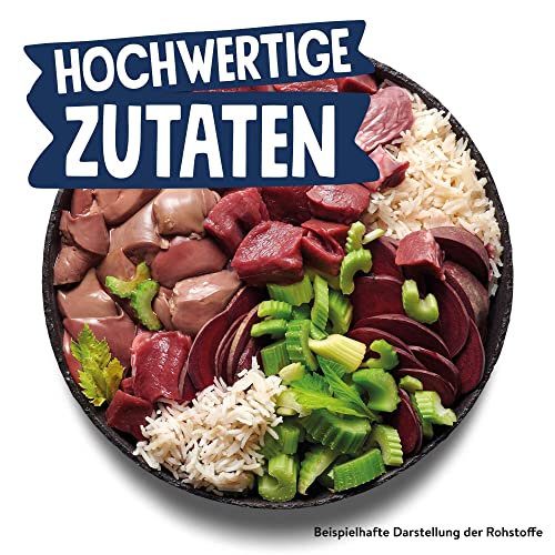Pets Deli Nassfutter für Hunde mit Wildschwein mit Reis, Sellerie, Rote Bete und Oregano ohne Zucker und Gluten 6 x 800g
