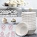 LotFancy (24 Count x 12 Sets) Mini Cupcake Containers with 288 Liners, Plastic Cupcake Boxes Holder, BPA Free, Clear Disposable Cupcake Carriers with Detachable Dome Lid