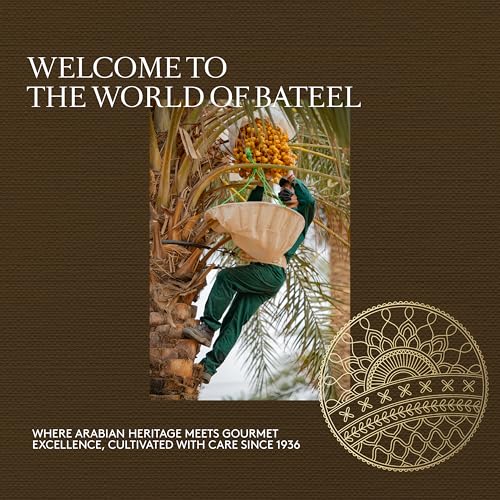 Bateel Kunafa Chocolate Bar (6pc set)