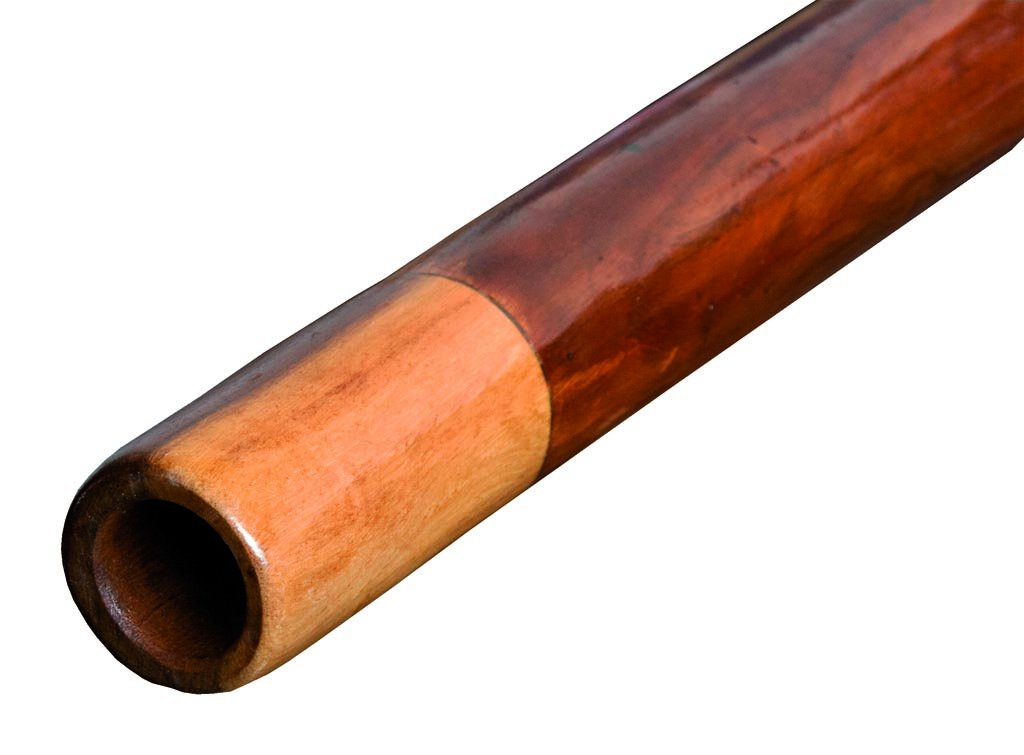 Amazon.com: Didgeridoo Sandwich 73 inch without bag (Tone D