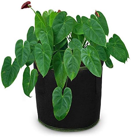 SIMBOOM Plant Grow Bags for Vegetables, 5-Pack 5 Gallon Tomato Grow Bags Breathable Nonwoven Fabric Pots with Handles for Tomatoes Potatoes Strawberry Fruit Flowers, Black