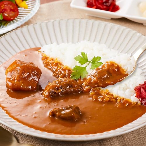 飛騨牛ビーフカレー 200g×3袋 | 飛騨牛 肉 レトルト 長期保存 加工品 個包装 飛騨高山牧場