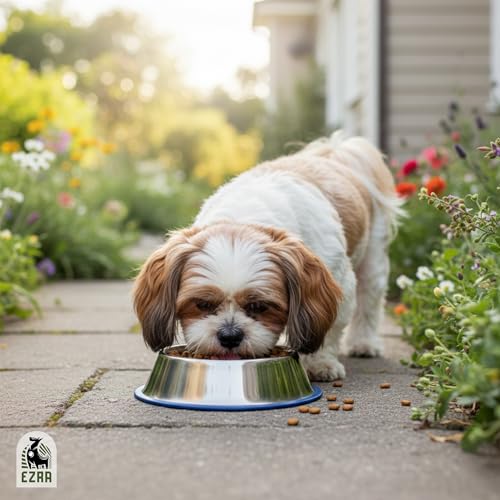 Image of Ezra Comfort Stainless Steel Dog Bowl | Anti-Skid Pet Feeding Bowl for Food & Water | Durable & Easy to Clean Bowl for Dogs & Puppies, 2800 ml