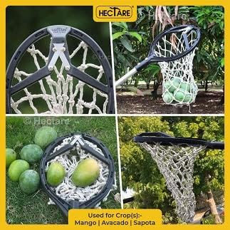 Image of Hectare Precision 3-in-1 Tree Pruner & Fruit Picker Set - 10ft Telescopic Pole, Detachable Saw Blade, Mesh Net Head, and Anvil Pruning Shears - No-Ladder Harvesting & Trimming Solution