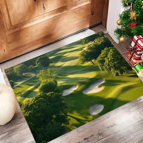 Paillasson Intérieur 90x150cm Tapis d'Entrée Antidérapant Lavable Résistant