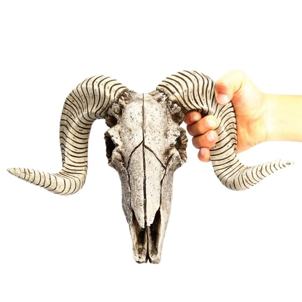 Grey Resin Goat Skull Head Wall Hanging Decor Succulent Long Horns Wall Decoration 3D Animal Head Skull Sculpture Figurines Crafts Ornament Home Room Nordic Style Artwork Props (Gray)