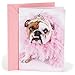 Hallmark Shoebox Funny Birthday Card (Bulldog in Tiara)