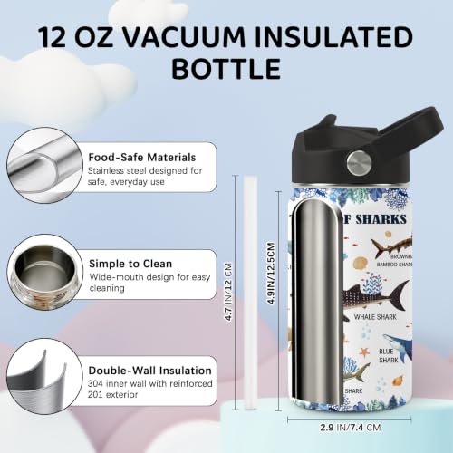 Image of EnglishShark Water Bottle for Daughter, Stainless Steel Insulated Tumbler with Straw Lid and Handle, 12oz Reusable Leak-Proof Bottle for Sports