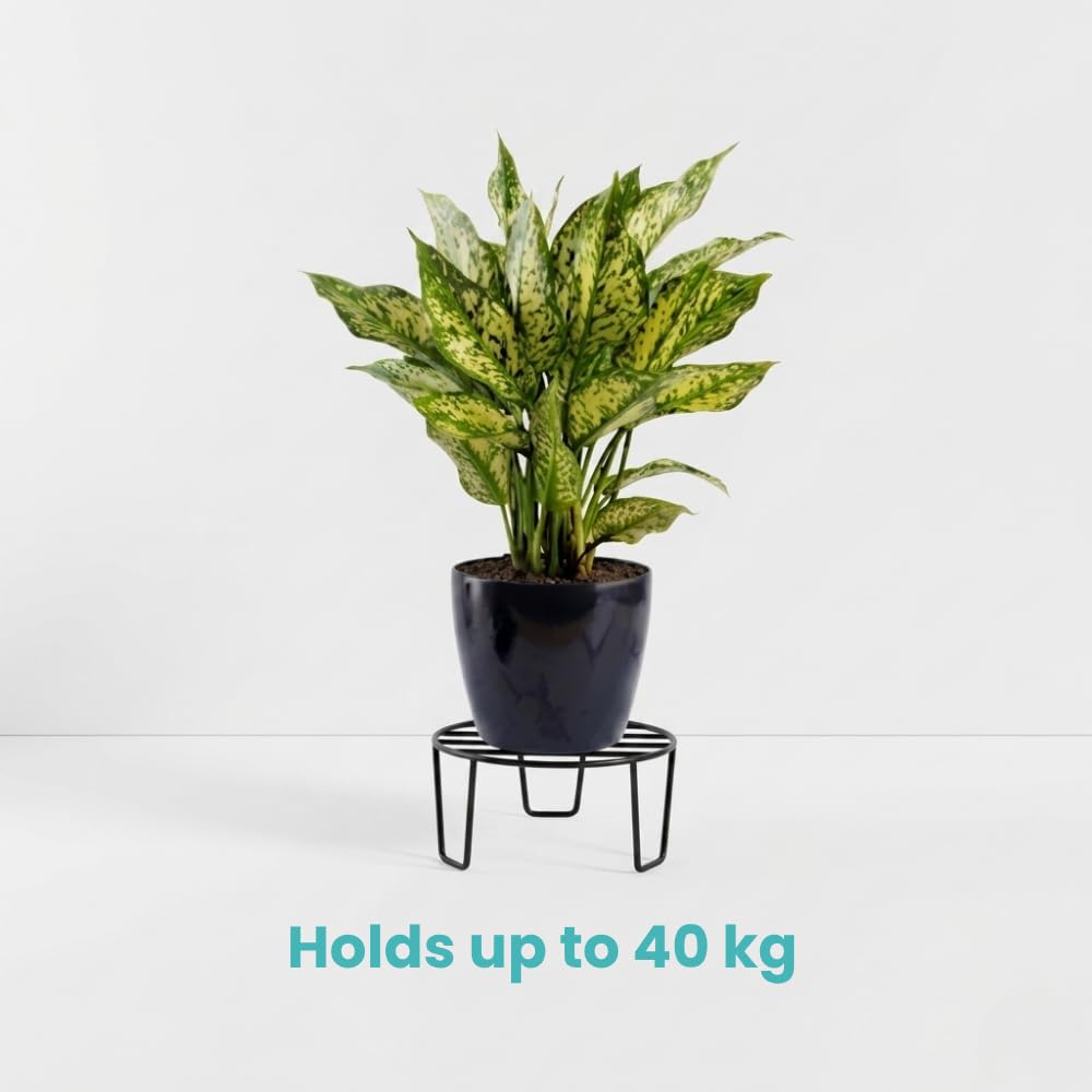 Black Metal Plant Stands - 5 Pack -6