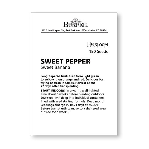 Burpee Sweet Banana Sweet Pepper Seeds 150 Seeds #TOP2