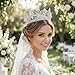 QXMYOO Zirconia Tiaras and Crowns for Women Wedding Prom Quinceanera Pageant Tiara Birthday Jewelry Gift Miss Universe Crown Silver