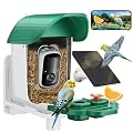 Bird Feeder with Camera Solar Powered, 2K HD Birds Feeder Camera for Outdoors, Instant Motion Detection & Alerts, AI Smart Identify Birds Species, Gifts for Mom Dad and Bird-Lovers(Green)
