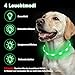 Nepfaivy Leuchthalsband Hund USB Aufladbar - Wasserdichtes Hundehalsband Leuchtend mit Verstellbarer Länge, LED Halsband für Hunde mit 4 Beleuchtungsmodi für Sicherheit, Grün