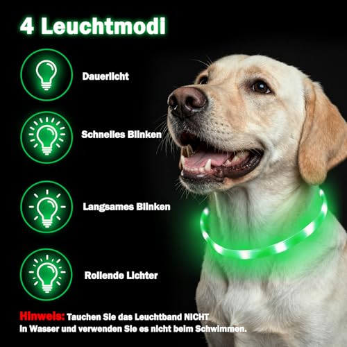 Nepfaivy Leuchthalsband Hund USB Aufladbar - Wasserdichtes Hundehalsband Leuchtend mit Verstellbarer Länge, LED Halsband für Hunde mit 4 Beleuchtungsmodi für Sicherheit, Grün