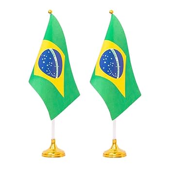 CONTEMPORANEA タンバリン ブラジル国旗デザイン2個セット il_fullxfull.2750988106_3pim.jpg