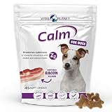 Vital Planet - Calm Soft Chews for Dogs, Promotes Calmness in Stressful Situations with GABA, Colostrum, Valerian, Turmeric, Chamomile, and L-Theanine - 45 Natural Bacon Flavored Soft Chews