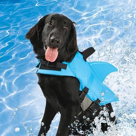SwimWays 41150-151 Sea Squirts Doggie Jacket, Blue