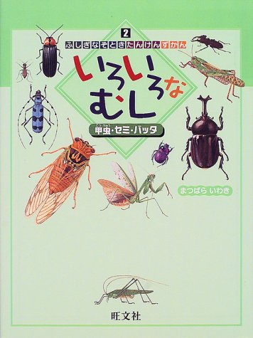 いろいろなむし 甲虫 セミ バッタ ふしぎなぞときたんけんずかん まつばら いわき 本 通販 Amazon