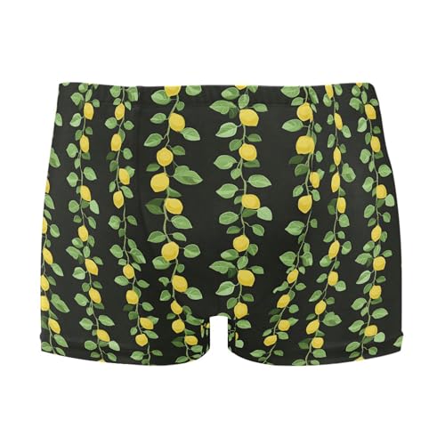 Lemon Fruit Summer Mens Swim Trunk Swimwear Bathing Suit Swim Brief Square Leg Board Short S B0403617