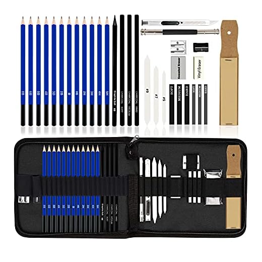 29 Pieza MEIRUIER Set de Dibujo Artista Kit con Lápiz Carbón Grafito Goma Cuchillo con Bolsa para Estudiantes Principantes Profesionales Niños Adultos,Set de Artista para Bosquejo
