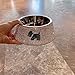 Daofaith Pet Bowl, Sparkling Rhinestones on Stainless Steel, Non-Slip Base, for Food, Water, Treats, Silver, Small, Sold Individually, All Round White