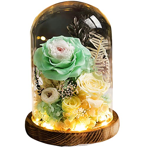 vU[h t[ ͂Ȃ  a  Mtg KN hCt[ t[ MtgKXh[ LEDCg ̂ aFB ̓ӂNւ̌hӋLOv[gi낢 O[-j