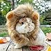 HAICHEN TEC Bunny Wig Lion Mane Halloween Cosplay Hat Adjustable Pet Hat Lion Hair Cap Headwear for Small Animal Cat Rabbit Guinea Pig Dog Photo Shoot (S)