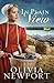 In Plain View (Valley of Choice Book 2)