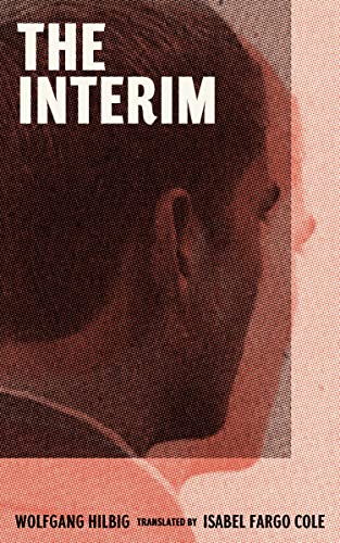 The Interim view 2