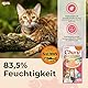 INABA Churu Puree Katzenleckerlis Creamy Snacks, Hochwertige Proteine mit Lachs und Thunfisch 56 g (1er Pack), Katzensnacks in Premium Qualität