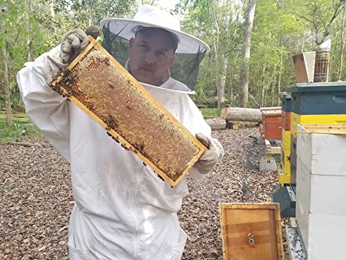 Matcha Green Honey Tea — view 4