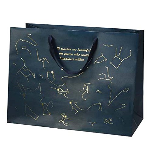 包む 手提げ バッグ アステリズム C-2539 LLサイズ