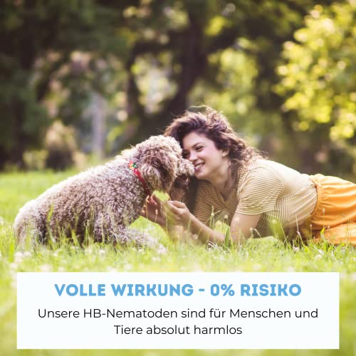 Futeco® – HB-Nematoden gegen Dickmaulrüssler & Engerlinge – für 100m² Fläche – zum einfachen gießen – 100% Biologisch, Chemiefrei & Natürlich – Made in Germany 6