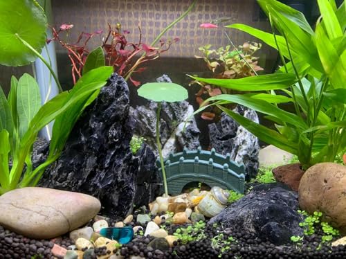 Image of Seiryu Rocks for Aquarium Aquascaping - Premium Grey Stone for Planted Tanks, Terrariums, Iwagumi Style Layouts, Hardscape Decor, Bonsai & Garden Landscaping - 5 Kg
