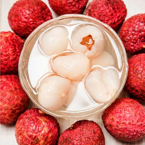 Mixrug 15+ Tropical Fruit Litchi Seed for Planting Outdoors-Fresh Organic Lychee Seed Non-GMO Heirloom for Home Outdoor Garden