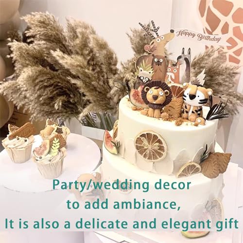 Image of 30 Stems 28 inch inch Fluffy Brown Pampas Grass Decor Tall - Natural Dried Pampas Grass, Large Pompas Grass, Dry Pampas Bulk for Living Room Decor, Boho Home Decor , Wedding Decor , Gift( 30 Brown )