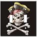 Art Plates - Pirate Switch Plate - Double Toggle