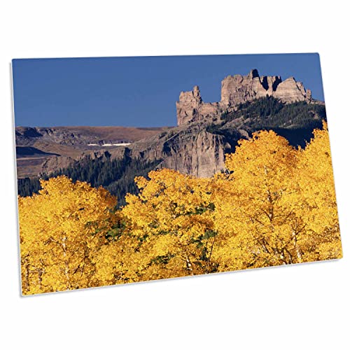3dRose Desk Pad Place Mat Colorado Gunnison Forest