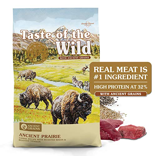Taste of the Wild High Protein Real Meat Recipe Premium Dry Dog Food