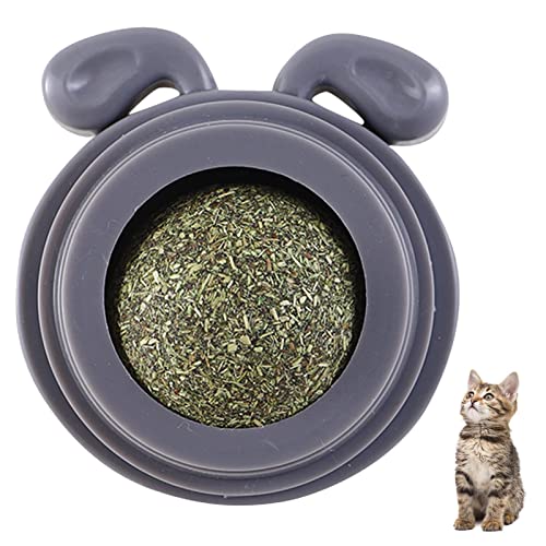Cat Nip Brinquedos - Gato Comestível Rotativo Lambendo Brinquedo para Gatos,Brinquedos intercambiáve