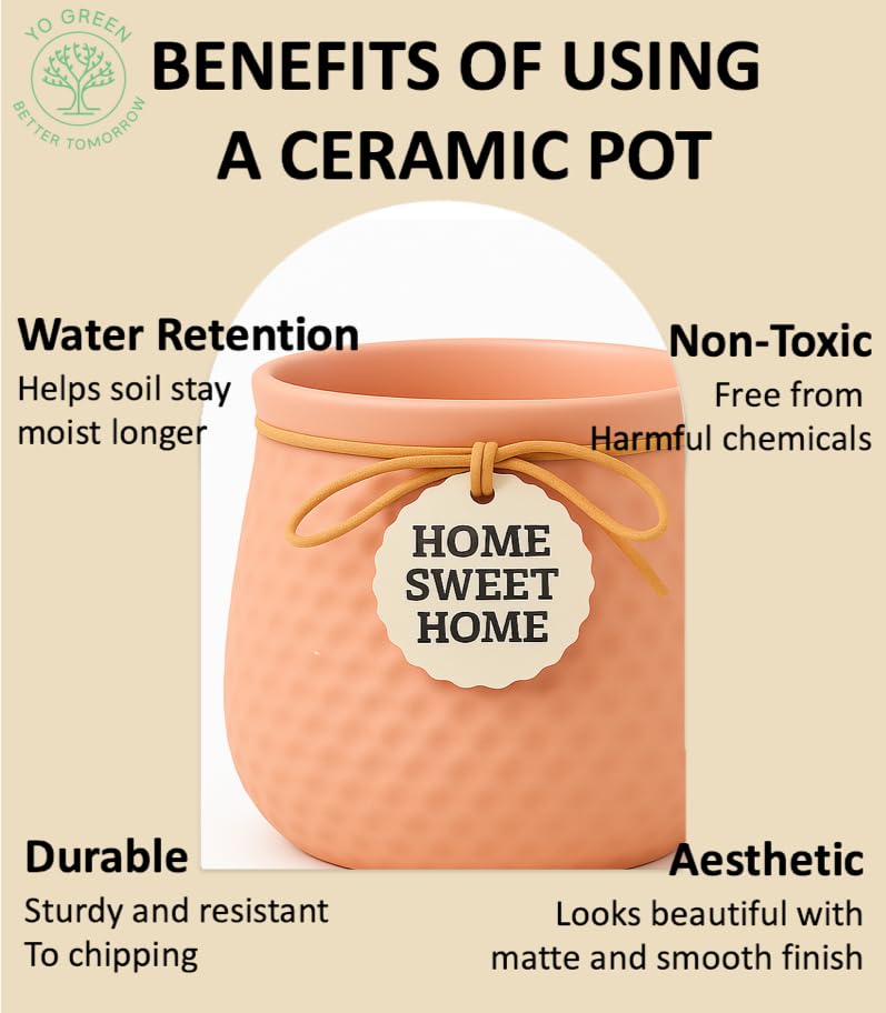 Image of Yo Green Ceramic Plant Pot for Indoor & Outdoor, Modern Planter for Home & Office Decor, Durable, Stylish Finish, Ideal for Tabletop, Shelf, Balcony, Great Gift Idea (Peach, 4 Inches)