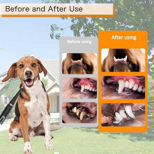 Image of Dog Electric Toothbrush Kit, Pet Plaque and Tartar Remover Tool, Pet Toothbrush Cleaning Kit, Sonic Toothbrush Cleaner for Pets Dental Care, Dogs Toothbrush Cleaning Kit