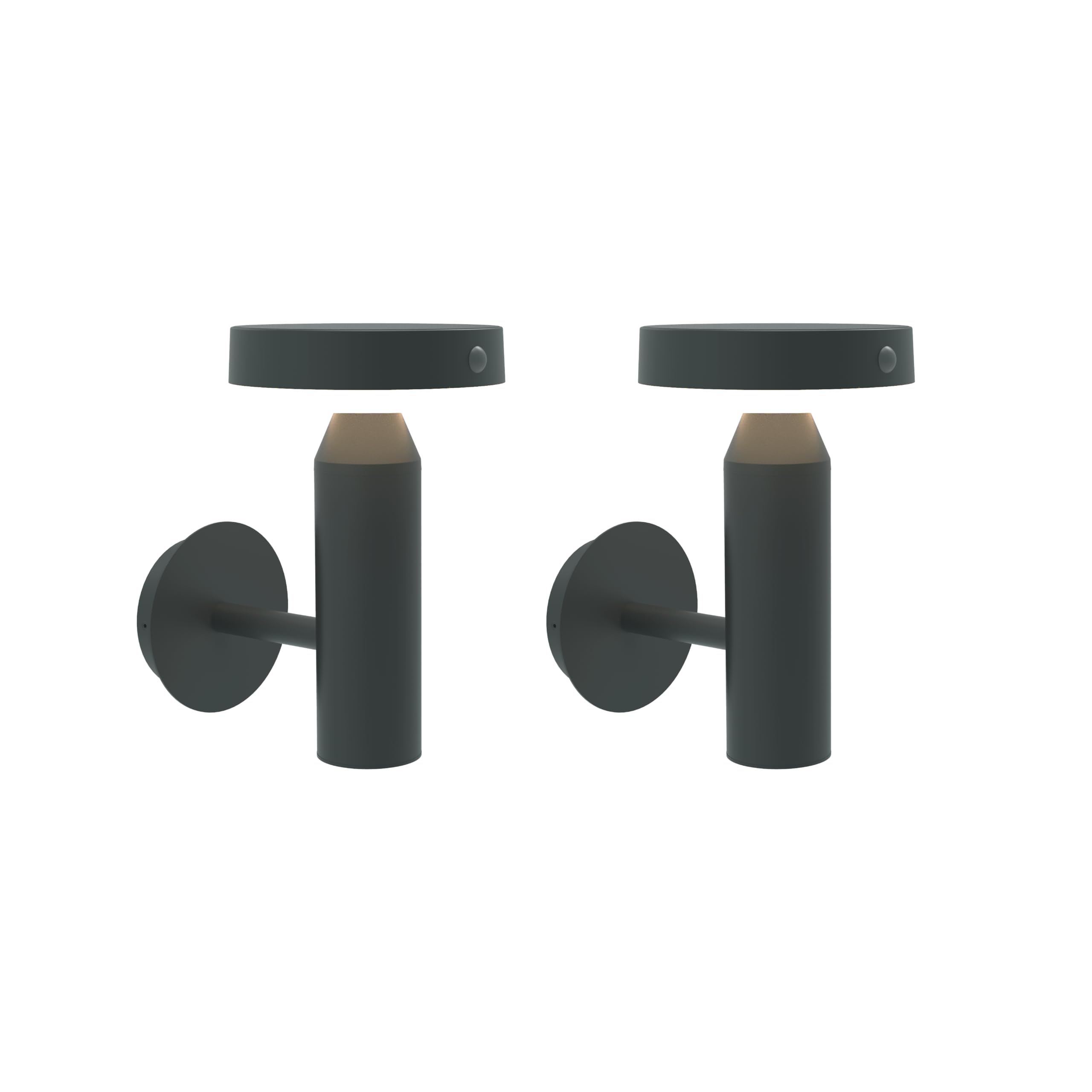 Applique solaire BOLD lot de 2 lampes d'extérieur IP44 détecteur gris