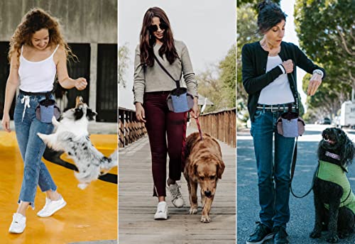 Dog Treat Pouch Built-In Poop Bag Dispenser, Ginsco Dog Treat Bag For Training, Dog Treat Training Pouch, Dog Training Treat Pouch With Waistband, Treat Pouches For Pet Training For Dog Walking Hiking #TOP4