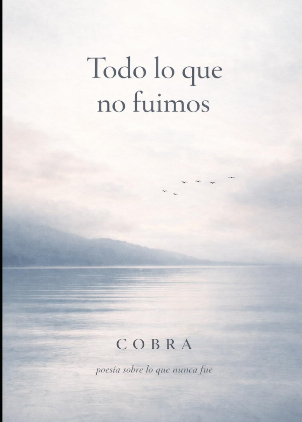 Todo lo que no fuimos