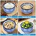 Kichvoe Japanese Ceramic Soup Bowl Set with Lid & Spoon, 4