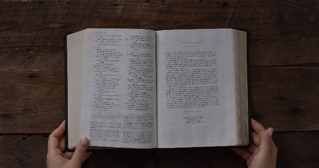 Image of ESV Women's Study Bible (TruTone, Deep Brown): Holy Bible, English Standard Version
